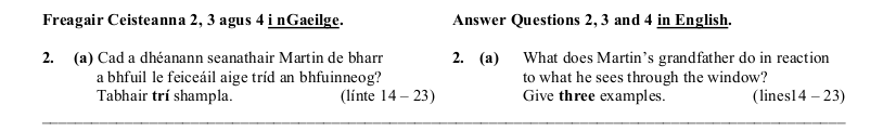 2006 LC Higher Reading Comprehension Q2a