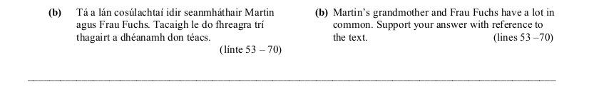 2006 LC Higher Reading Comprehension Q3b