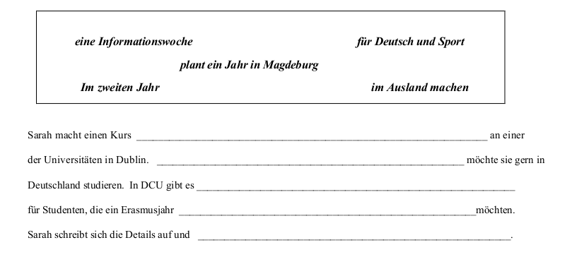 2010 LC Ordinary German Schriftliche Produktion